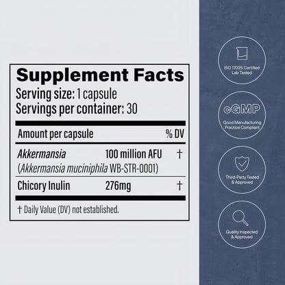Pendulum Akkermansia Probiotic with Prebiotic Fiber - Increases GLP-1 Production, Delayed Release, Third-Party Tested, 100M AFU Live Strain for Gut Health for Men & Women (30 Capsules, 1-Pack)
